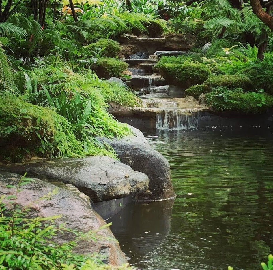 การจัดสวนน้ำตกลำธาร